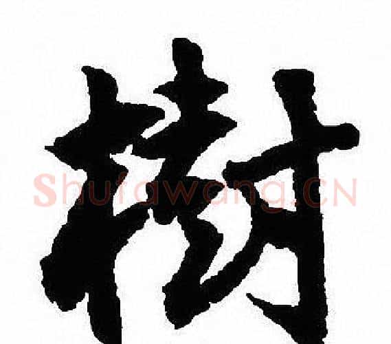 樹字沈尹默毛笔行书书法写法,摘自沈尹默毛笔行书书法作品