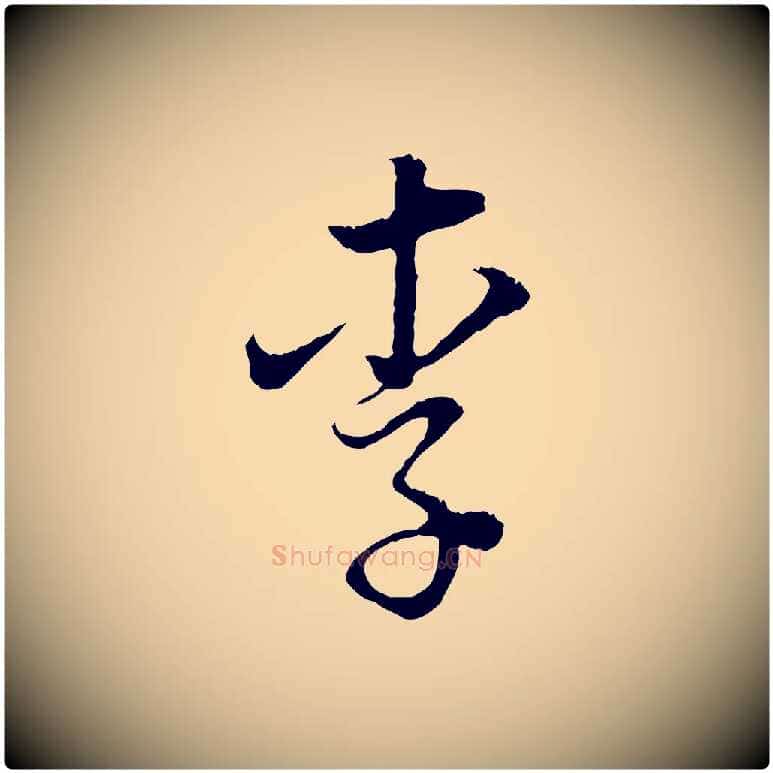 李毛笔行书写法,摘自明代董其昌邵康节先生自着无名公