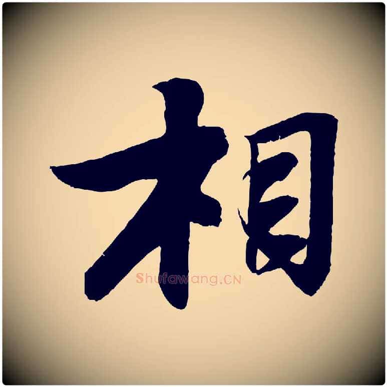 相毛笔行书写法,摘自宋代苏轼石恪画维摩赞