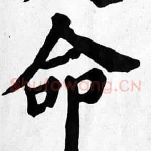 命