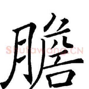 膽