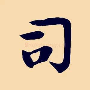 司
