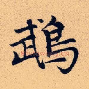 鵡