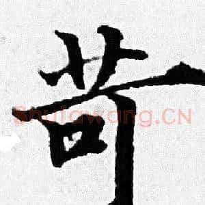 苛