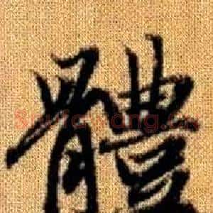 體