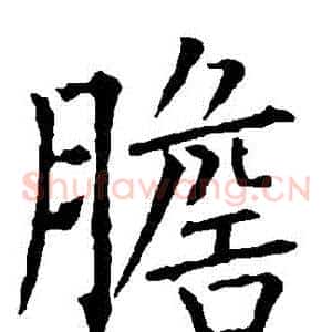 膽