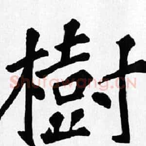 樹