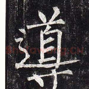 導