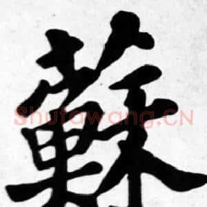 蘇