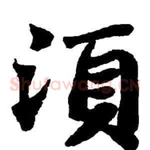 须