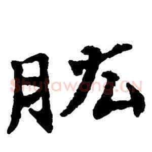 肱