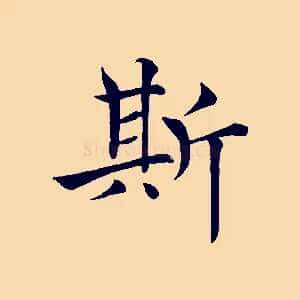 斯