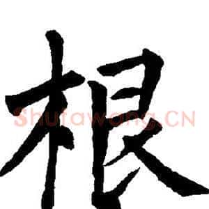 根