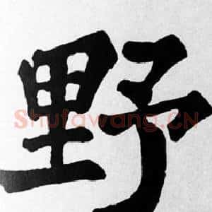 野