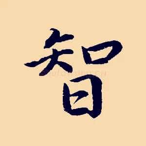 智