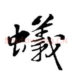 蚁