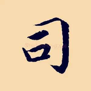 司