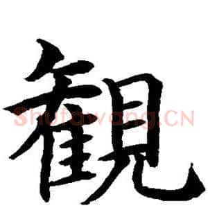观