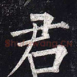 君