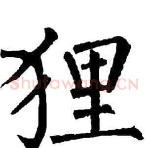 狸