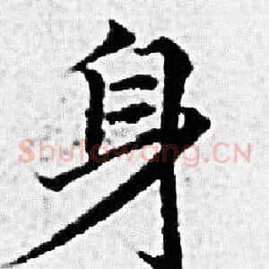身
