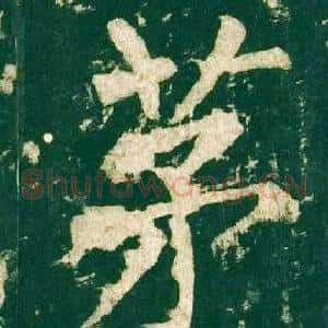 茅