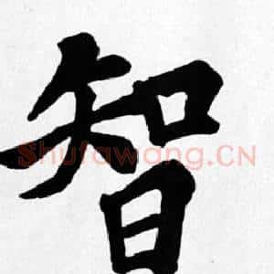 智
