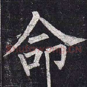 命