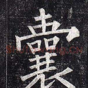 囊