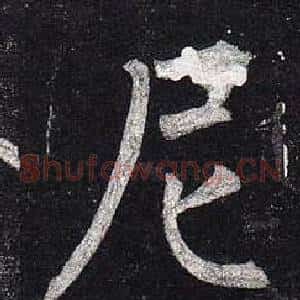 尼