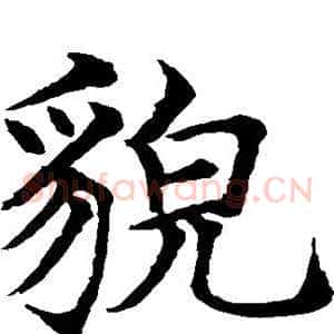 貌