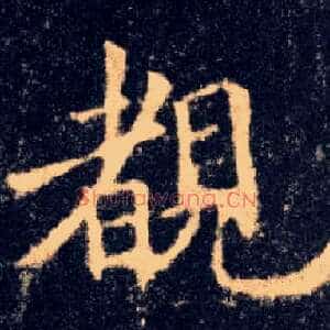 睹
