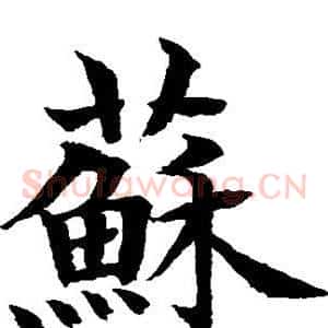 苏