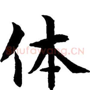 体