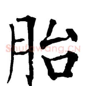 胎