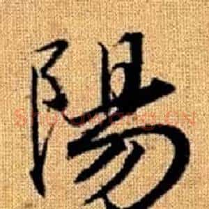 陽