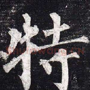 特