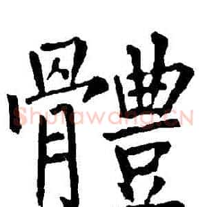 體