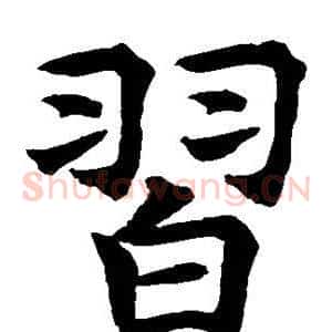 习