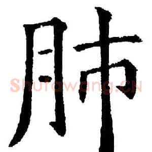 肺