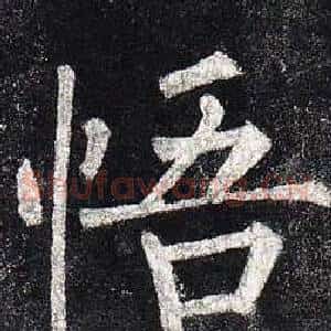 悟