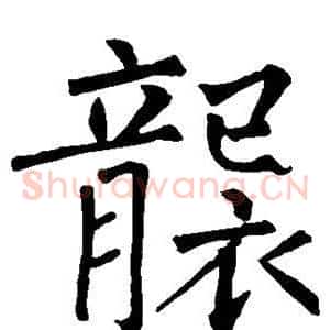 袭