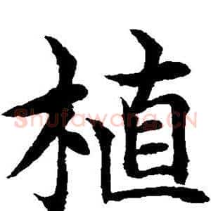 植
