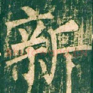 新