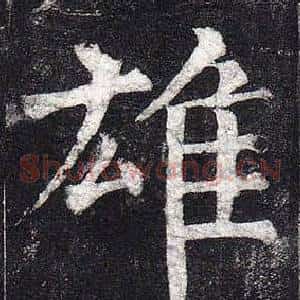 雄