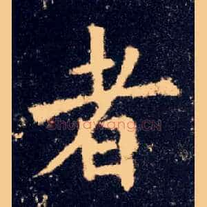 者