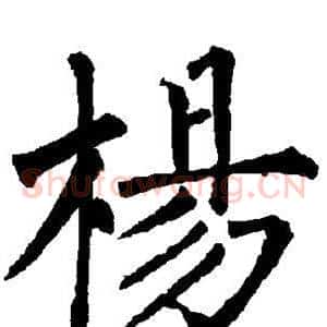 杨