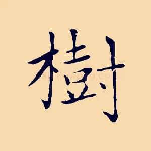 樹
