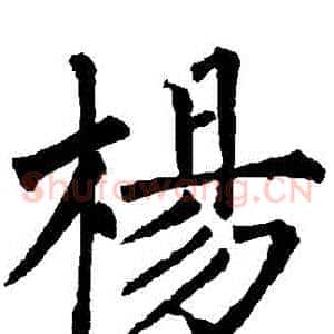 楊