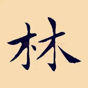 林